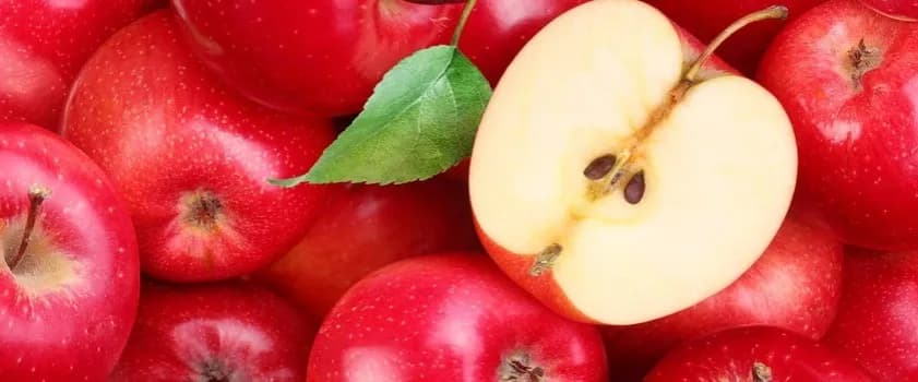 Czy jabłka są tuczące? Odkryj prawdę o ich kaloryczności
