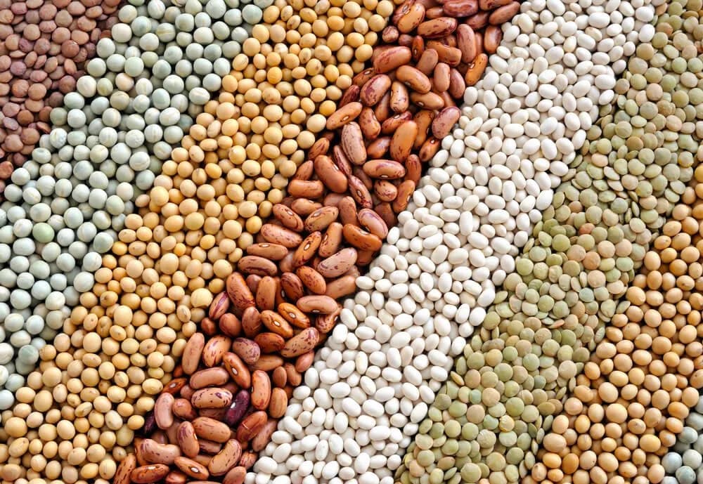 Gdzie jest białko roślinne? Odkryj najlepsze źródła w diecie