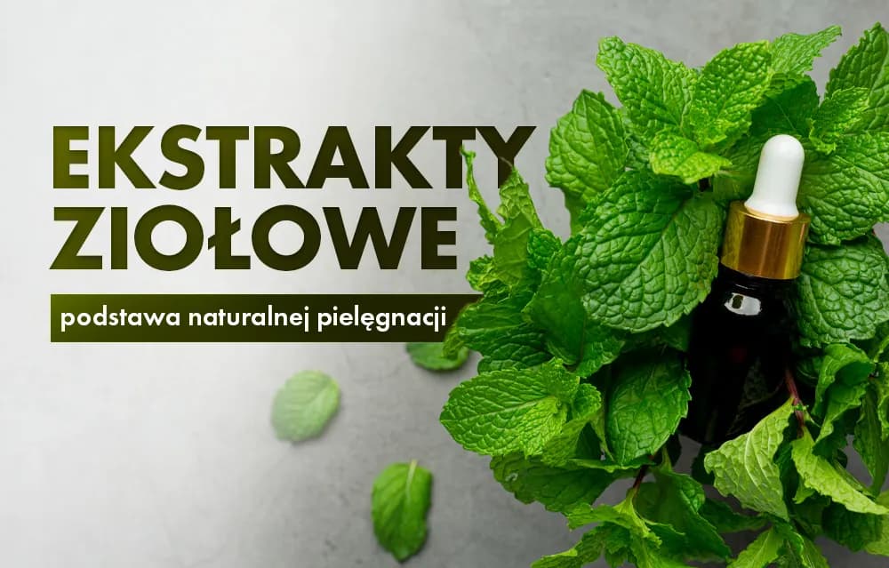 Jak zrobić ekstrakt roślinny - proste metody i najczęstsze błędy