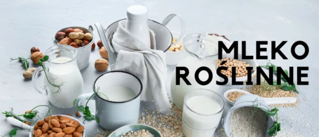 Jaki napój roślinny do kawy wybrać, by uniknąć laktozy?
