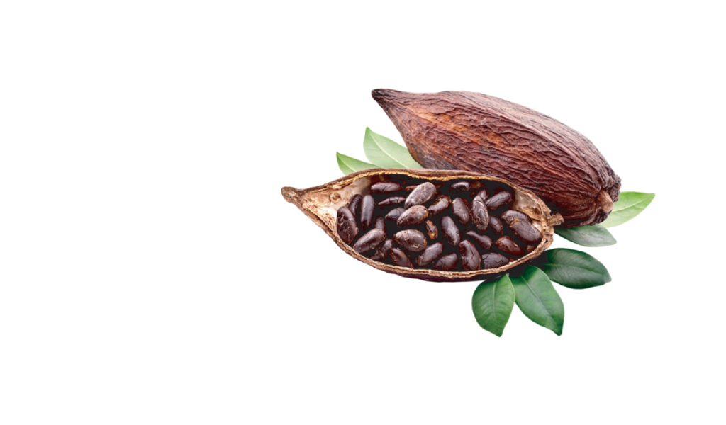 Surowe kakao